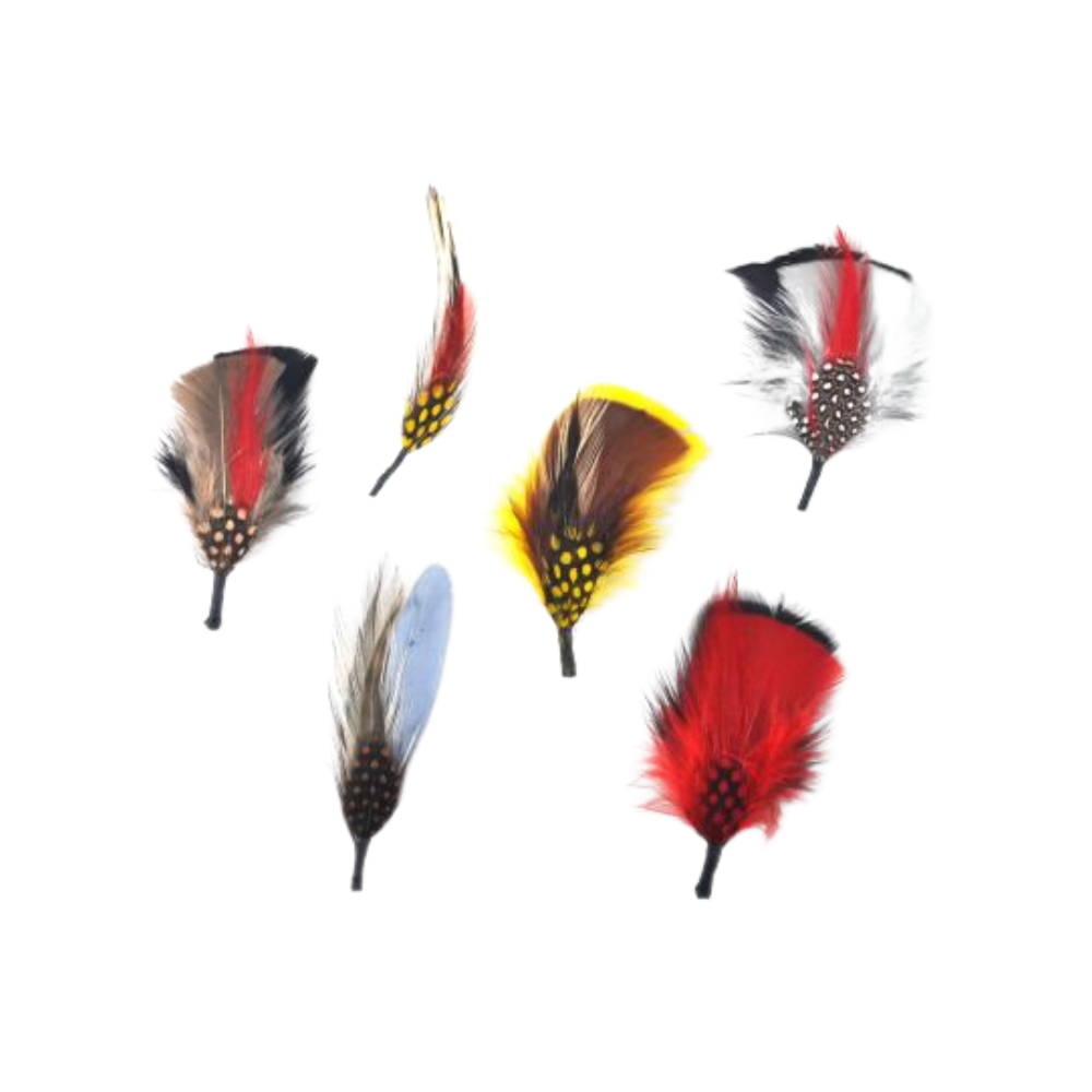 Hat Feathers – Stark and Legum